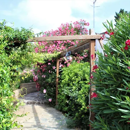 Aparthotel Les Oliviers 4*