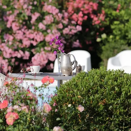 Aparthotel Les Oliviers Porto Azzurro