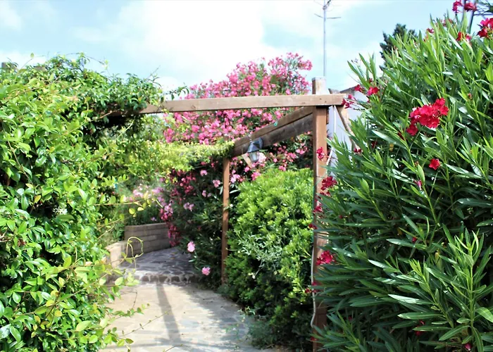 Aparthotel Les Oliviers 4*