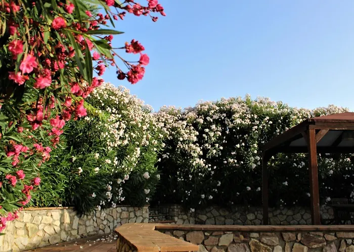 Les Oliviers Porto Azzurro