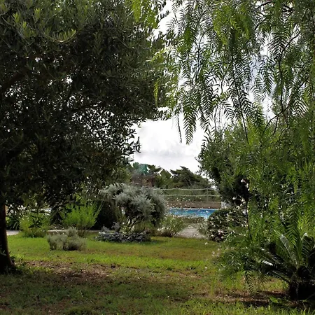 公寓式酒店 Les Oliviers