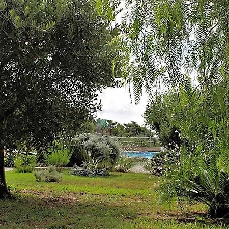 Les Oliviers Lägenhetshotell Porto Azzurro