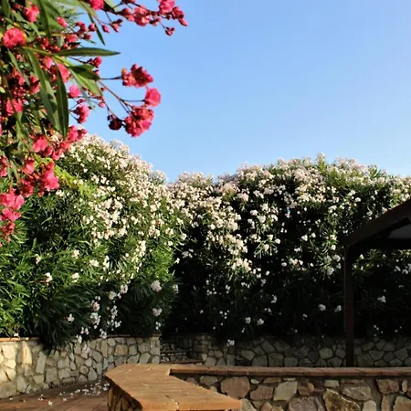 Les Oliviers Porto Azzurro